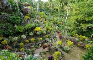 Un jardin luxuriant abritant une grande variété d’espèces végétales, un sentier en pierre et un petit espace aménagé pour s’asseoir.