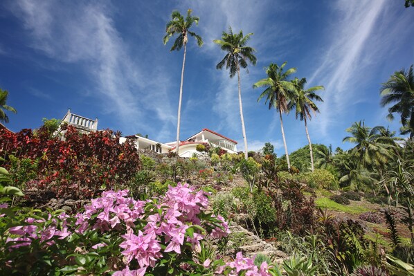 A tropical resort with palm trees, a white building with a red roof, and lush greenery. - Guindulman Bay Tourist Inn (Guindulman)