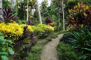 Property grounds - Guindulman Bay Tourist Inn (Guindulman)