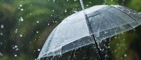 A transparent umbrella with water droplets, indicating rainy weather.
