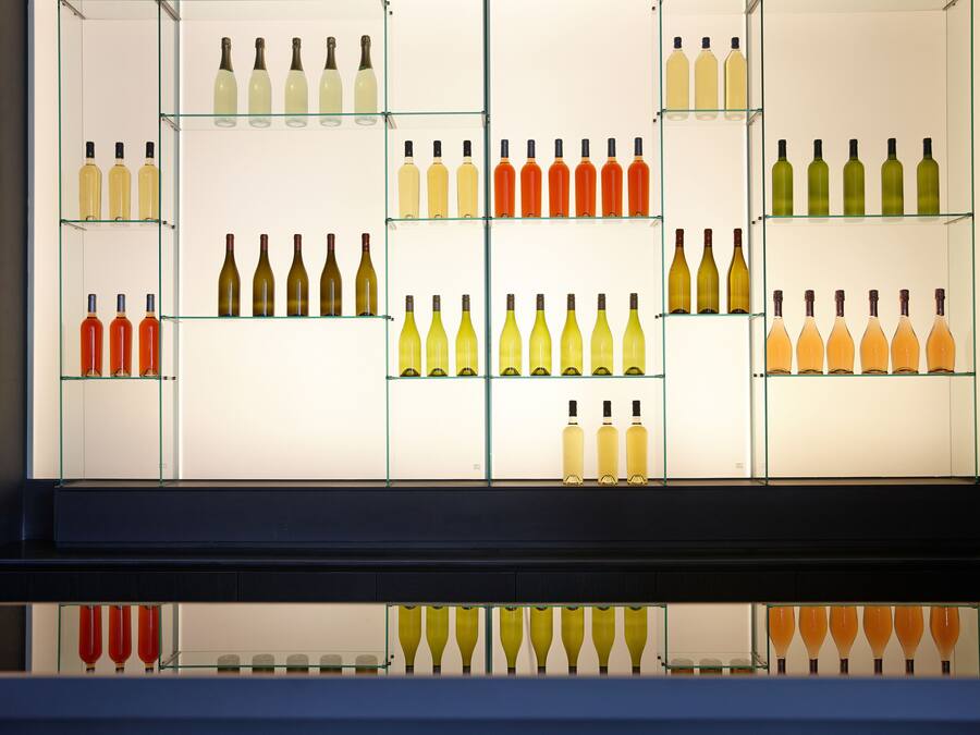 Varias botellas de vino expuestas y organizadas en estantes.