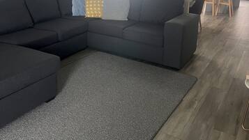 Flat-screen TV