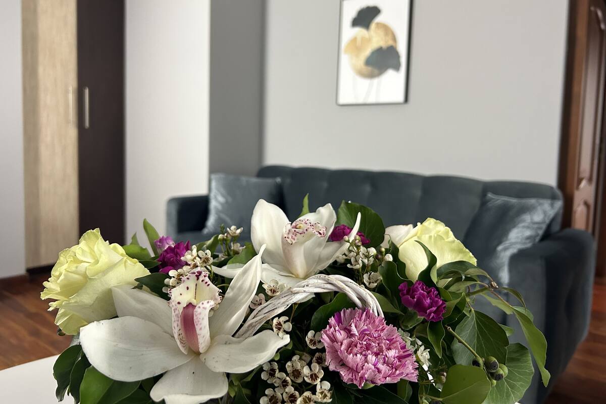 Basic Apartment, 1 Bedroom (13 Matera) | Wohnzimmer