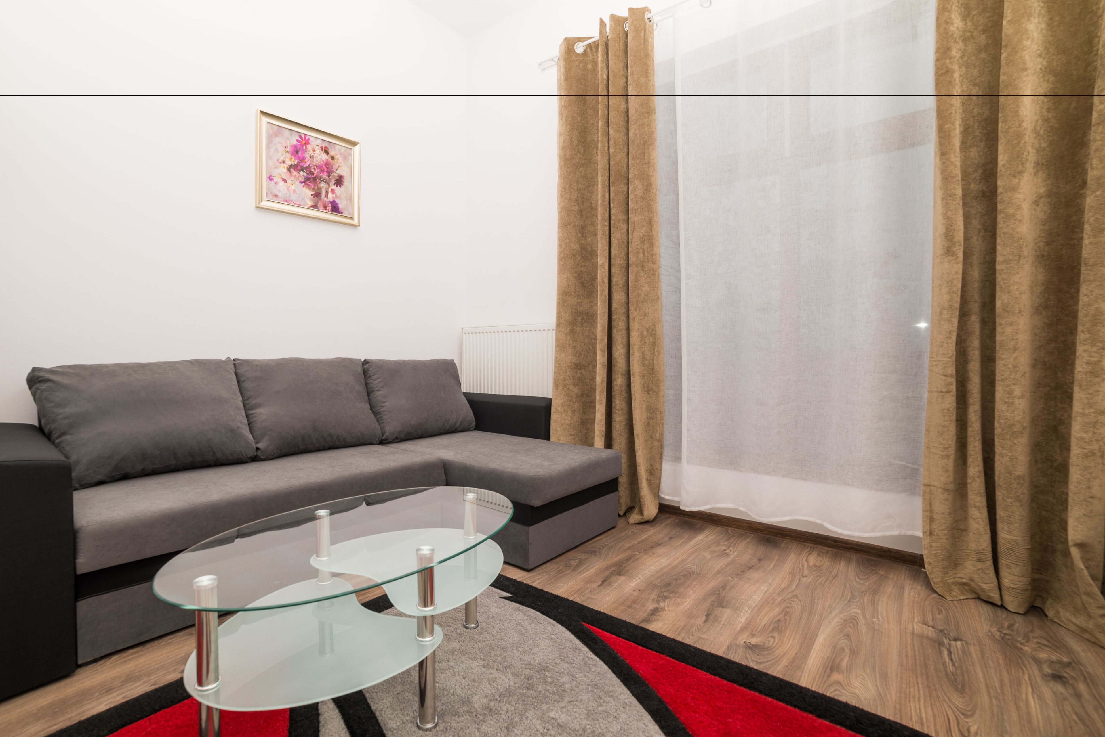 A modern living room with a grey sofa, a glass coffee table, and a red and black rug.