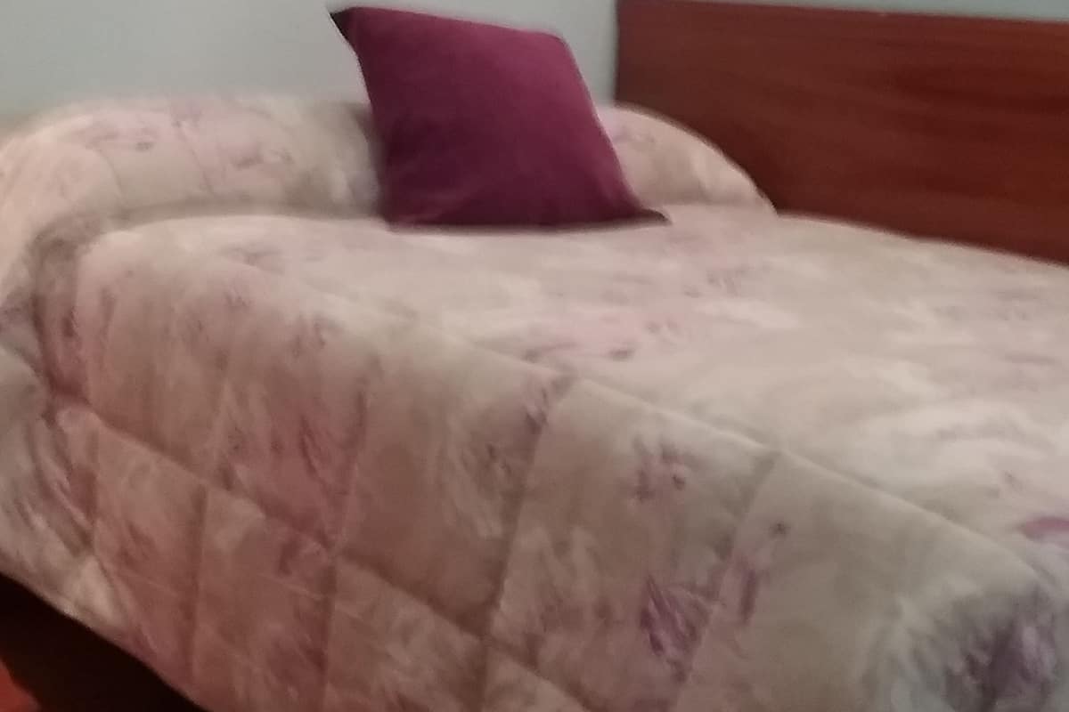 A bed with a floral-patterned bedspread and a single purple pillow.