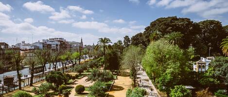 Un parc avec des allées, des arbres et une fontaine.