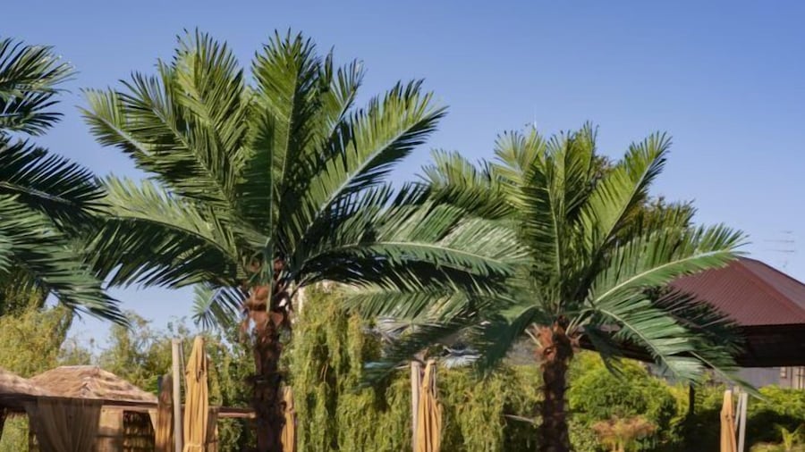 Cross Resort Yerevan