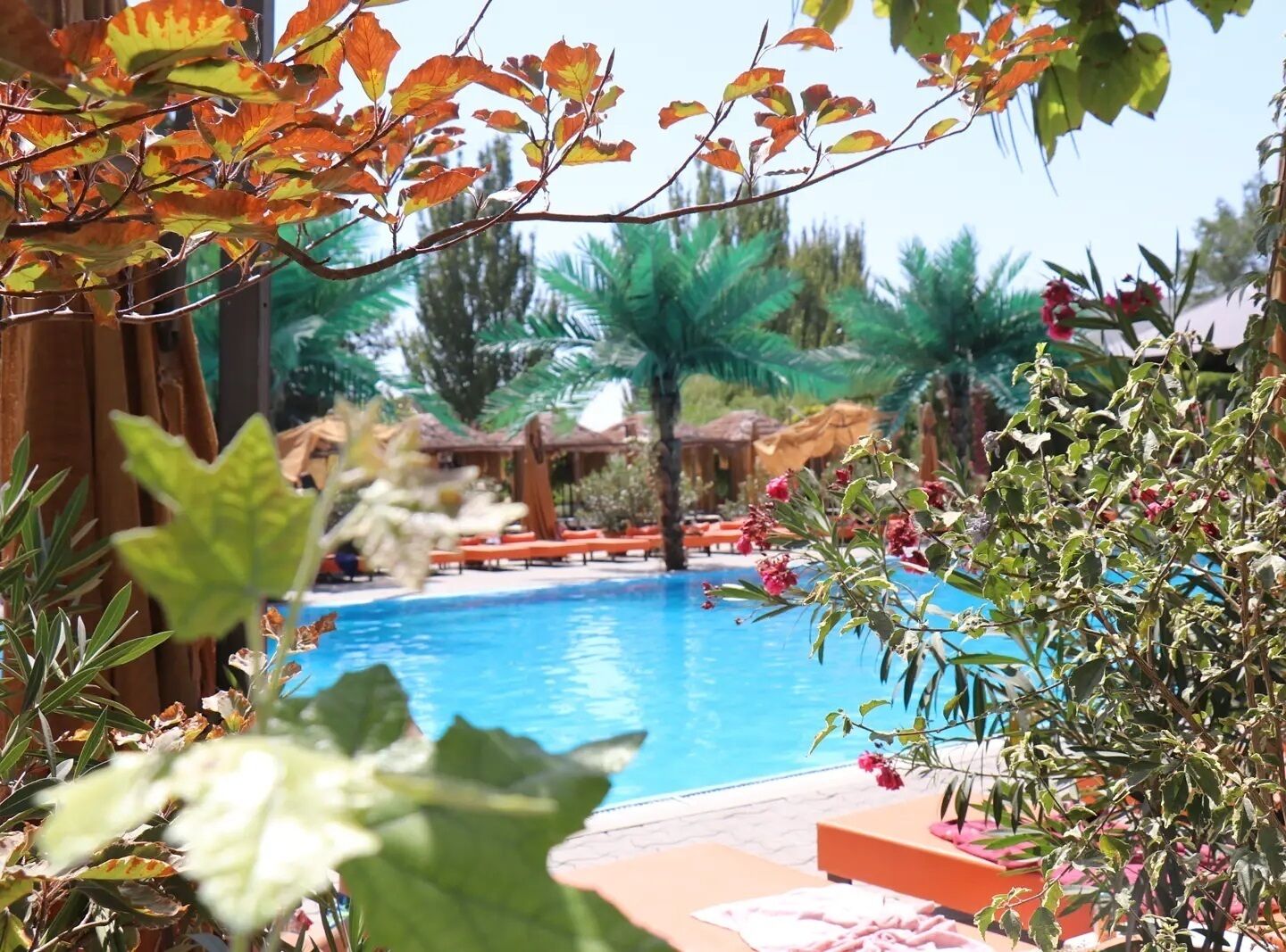Una piscina techada, una piscina al aire libre de temporada, sombrillas