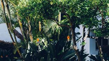 Un exuberante jardín con diversas plantas y un pequeño árbol.