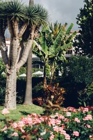Jardines del alojamiento