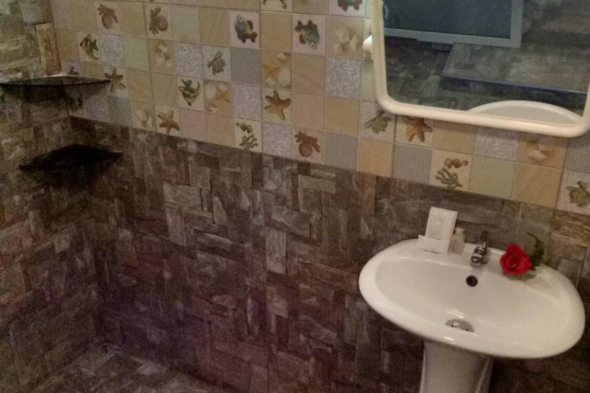 big bungalow with fan | bathroom sink