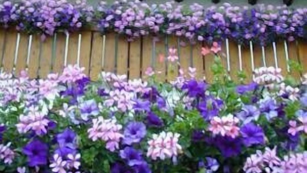 외부 세부 사진