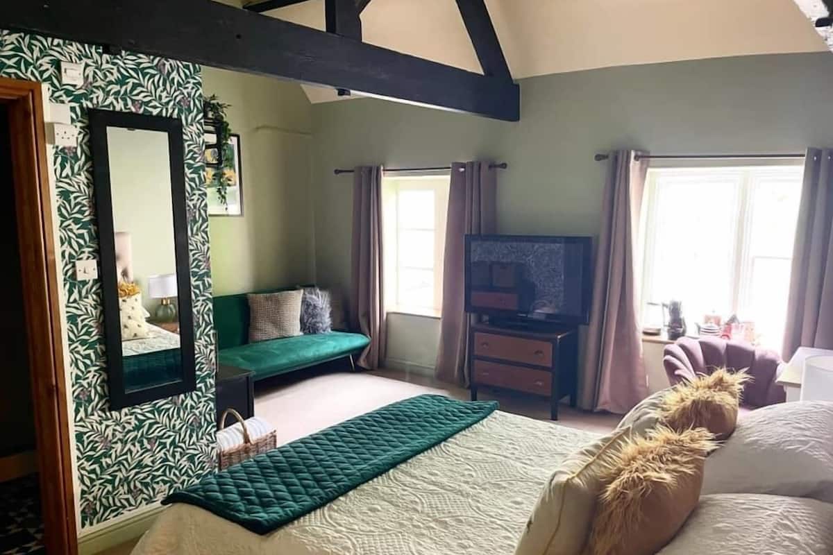 A room with a bed, a TV, a sofa, and a window.