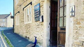 A peacock walking on a street in front of a building with a sign that reads "The Cross Keys Free House."