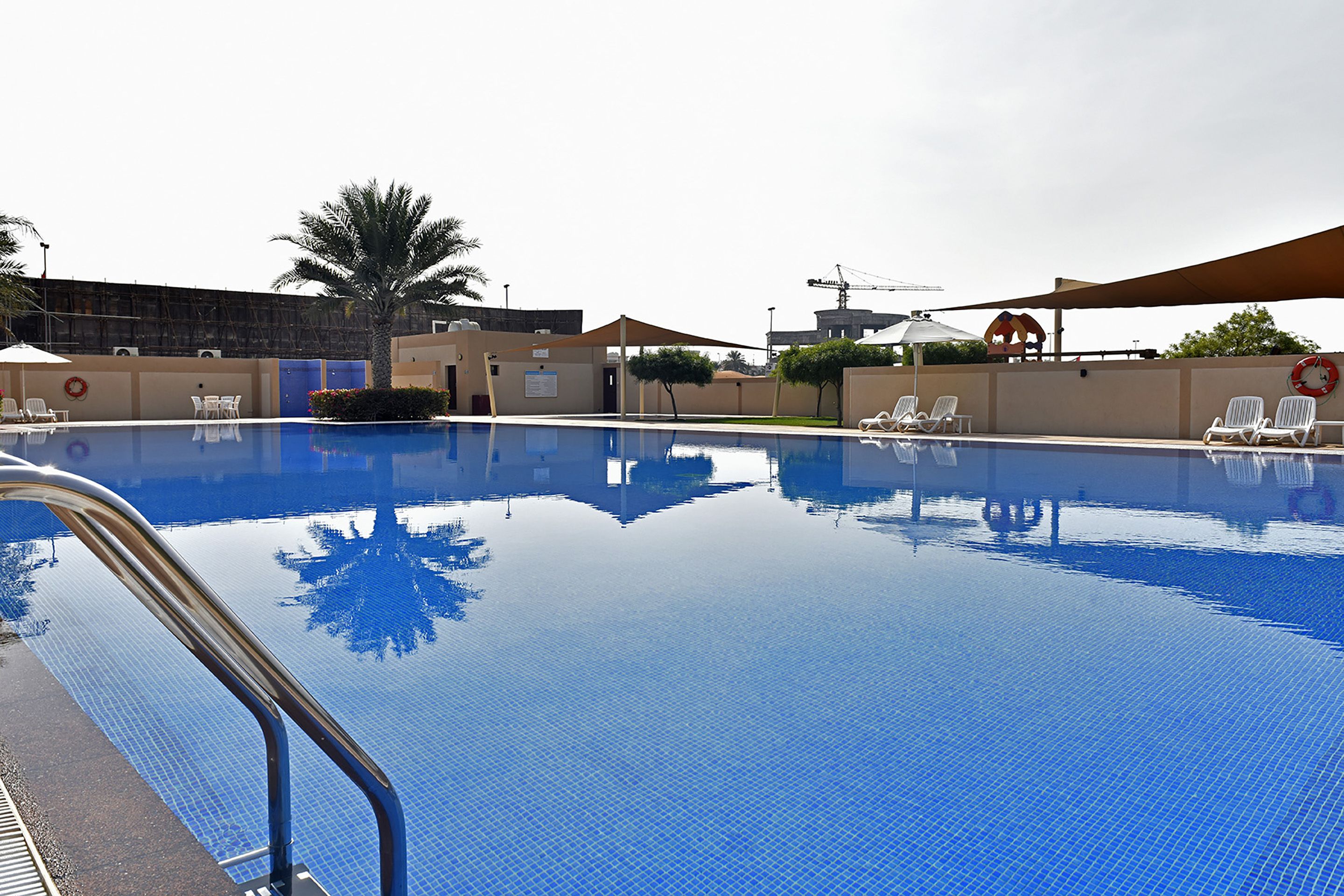 A swimming pool with clear blue water, surrounded by lounge chairs and umbrellas, and a palm tree in the background.
