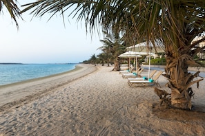 A beach with a row of sun loungers and a palm tree. - Jannah Hotel Apartments & Villas (Ras Al Khaimah)