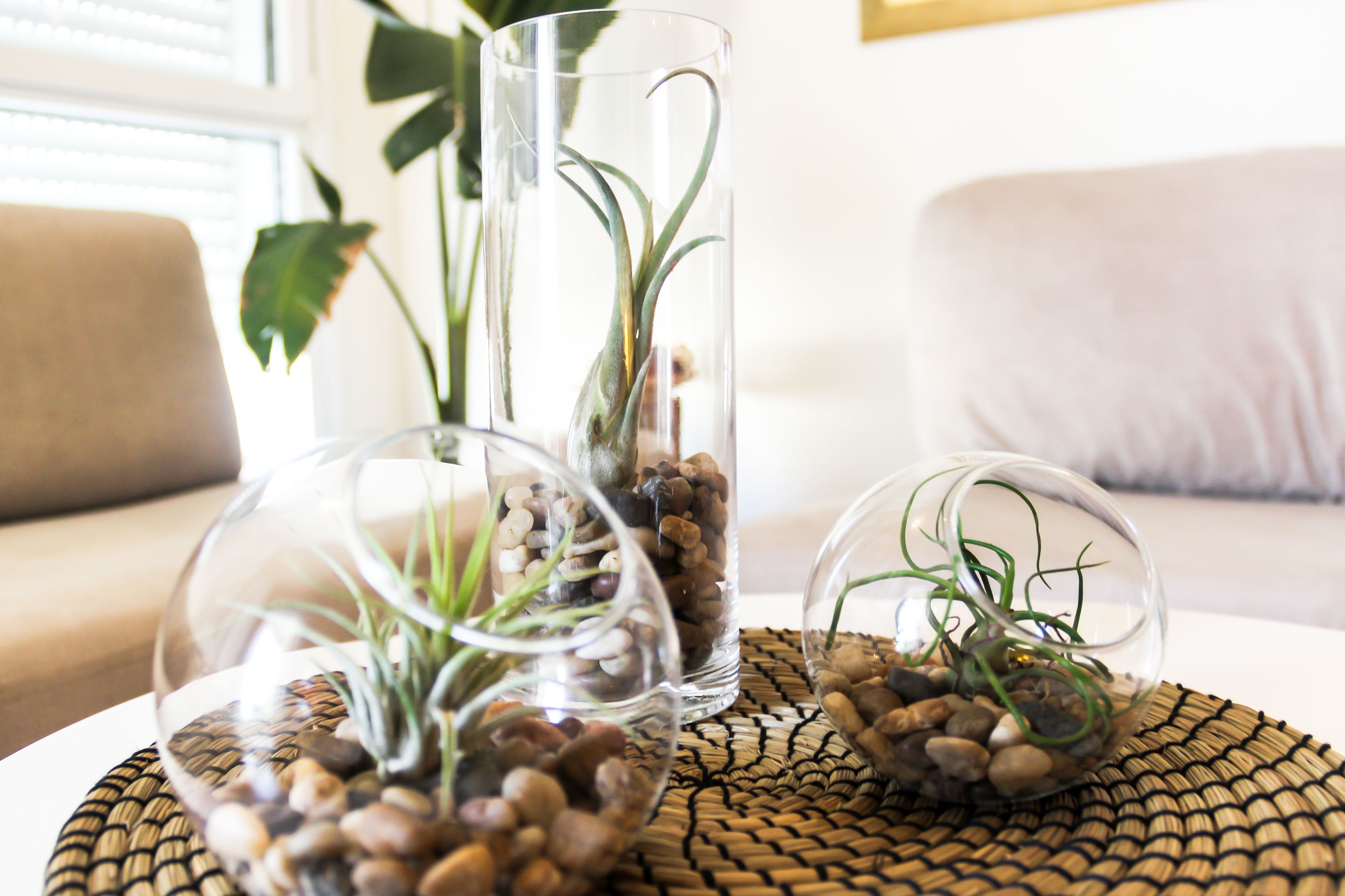 Three glass vases with plants and pebbles on a woven placemat.