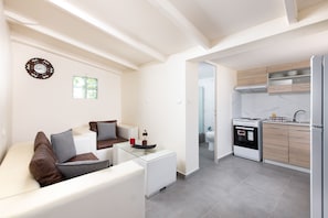 Standard Apartment | In-room safe, blackout drapes, iron/ironing board, free WiFi