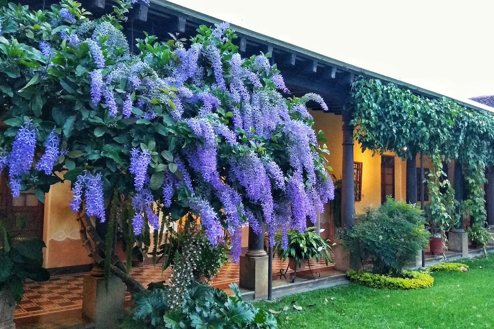 Hotel Aurora