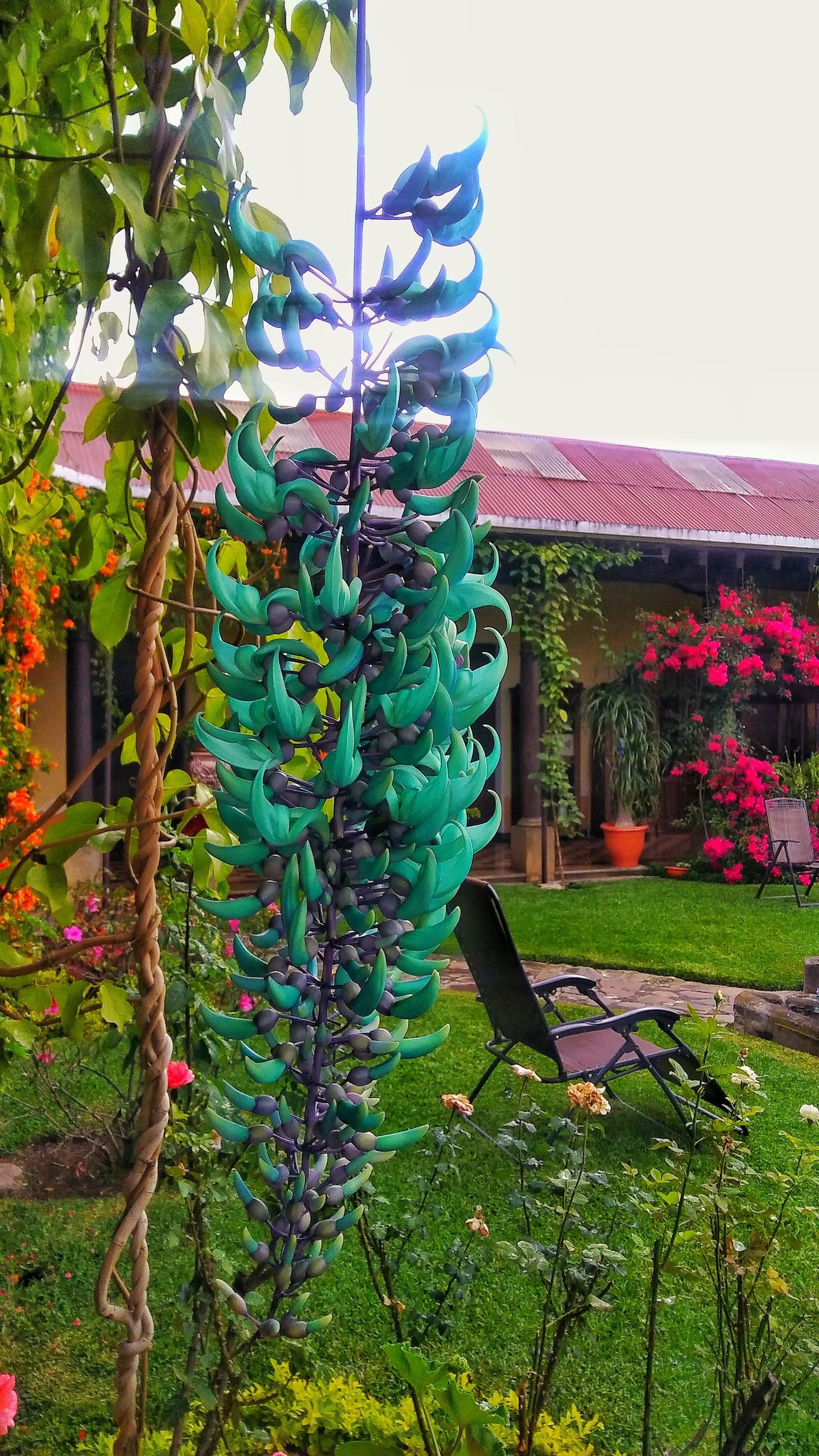 Photo - Hotel Aurora