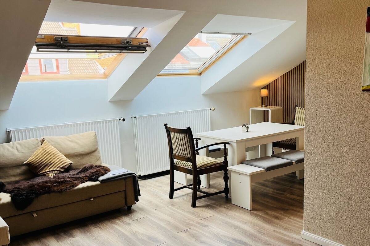 A loft-style bedroom with a skylight, a sofa, a chair, and a small desk area.