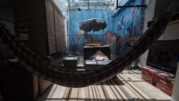 A room with a hammock, a bed, a TV, and a mural on the wall. - Hostel do Bosque (Rio de Janeiro)