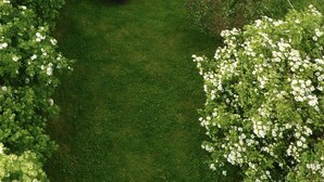 A house with a deck, surrounded by a well-maintained lawn and flowering plants. - EIFELTRAUM Mediterrana - pure silence (Berlingen)