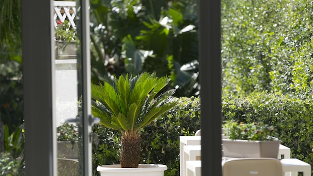 Puerta de vidrio abierta que da a un patio con una planta en maceta y mobiliario exterior.