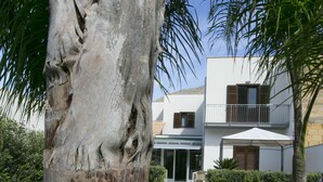 El tronco de un árbol en un jardín, con un edificio blanco al fondo.
