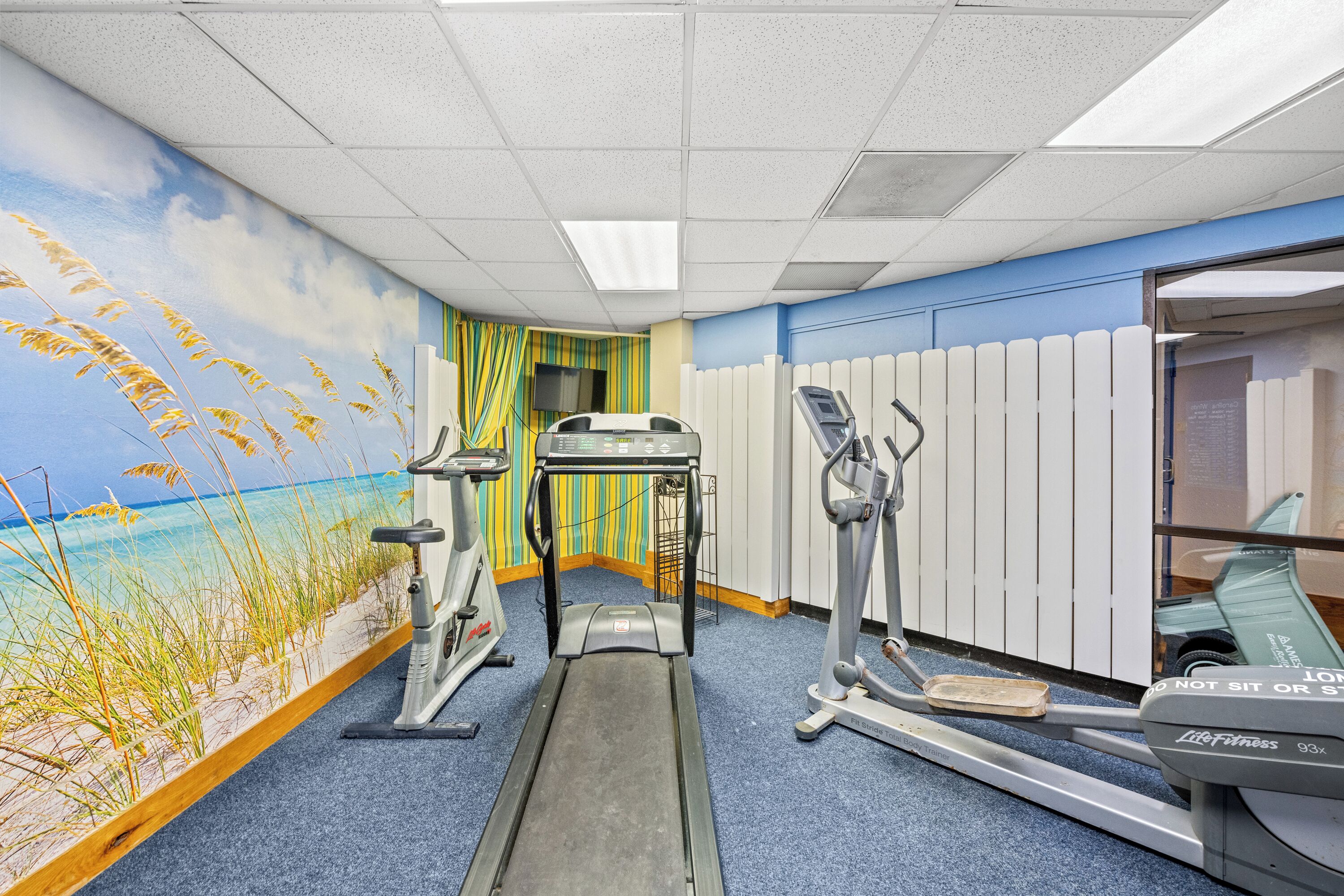 A fitness room with exercise equipment, a mural of a beach, and a blue carpet.