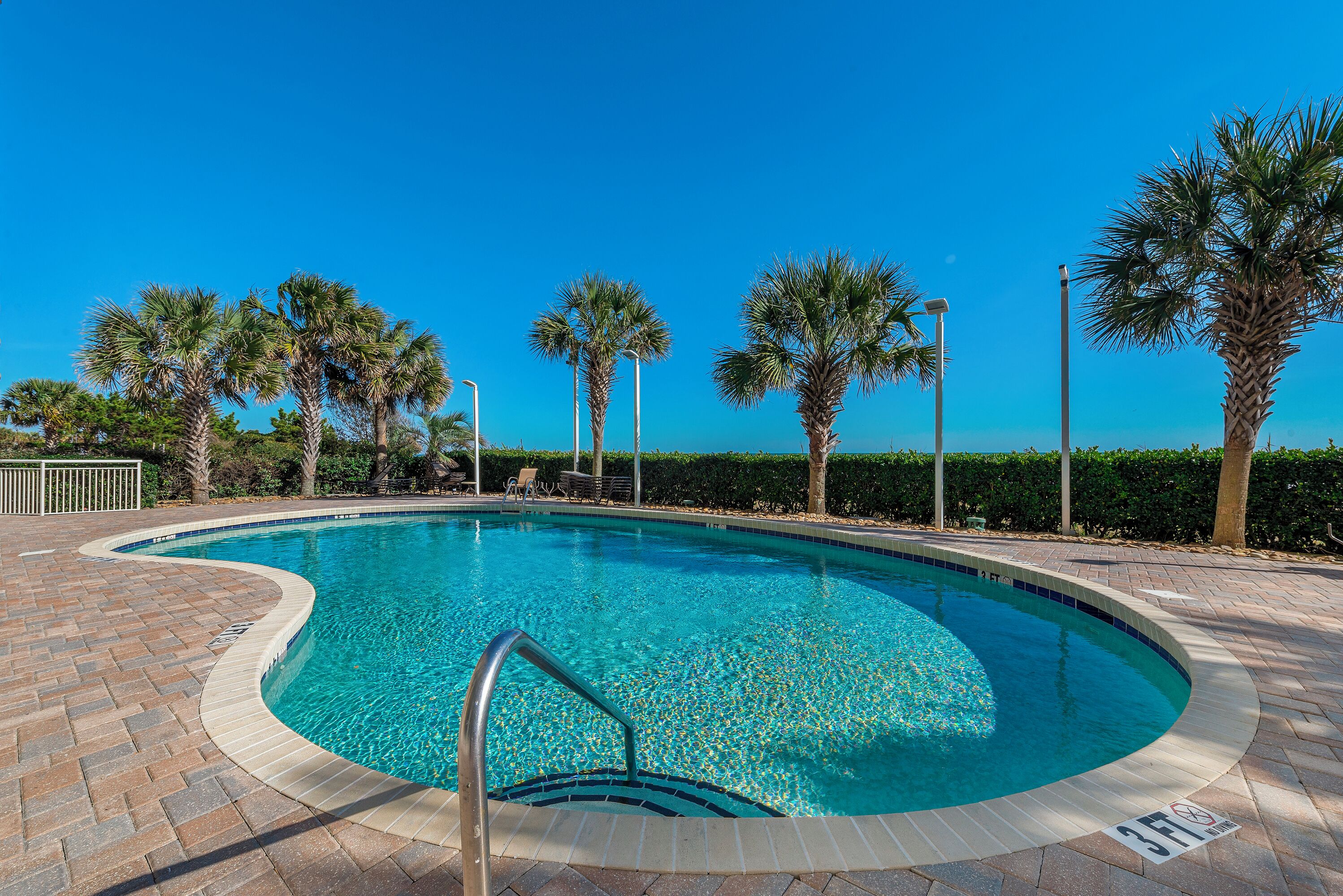 A swimming pool with a tiled edge, surrounded by palm trees and a paved walkway.