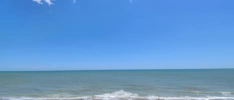 Condo, 1 Bedroom, Oceanfront (744) | Balcony view