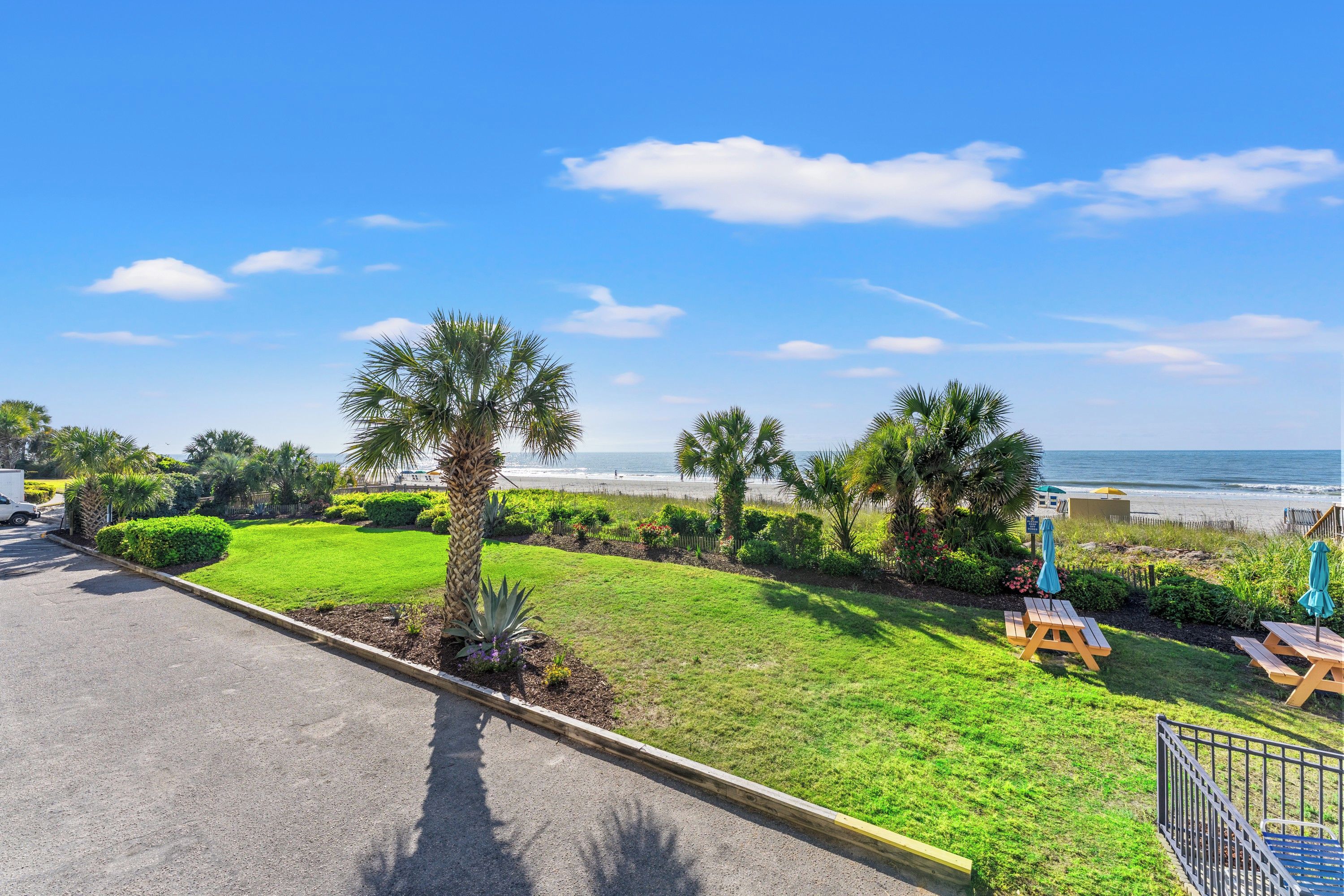 A coastal view with a grassy area, palm trees, and a beach in the background.
