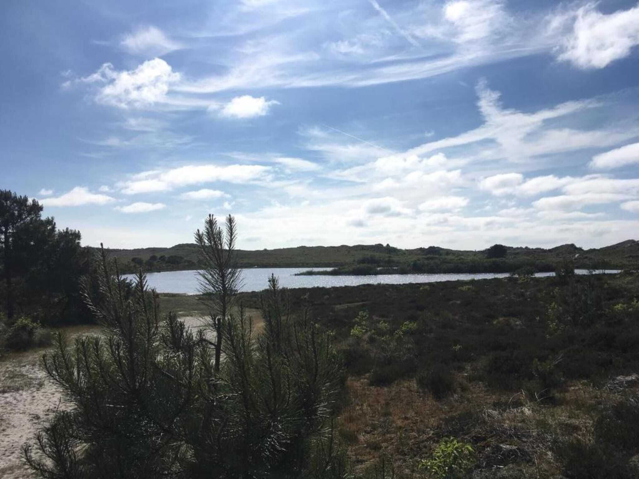 Un paisaje natural con un lago, árboles y cielo despejado.