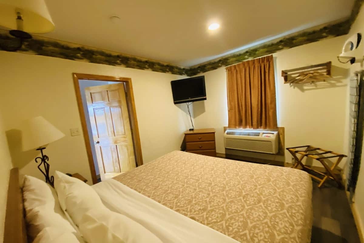 Une chambre à coucher avec un lit, une télévision, un radiateur et une fenêtre avec des rideaux.