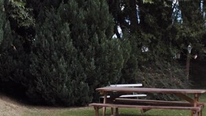 A picnic table in a park with dense trees in the background. - Los Charitos (El Calafate)