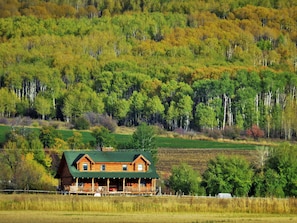 A wooden cabin with a green roof, surrounded by a field and forested hillside. - Teton Hostel HideAway (Driggs)