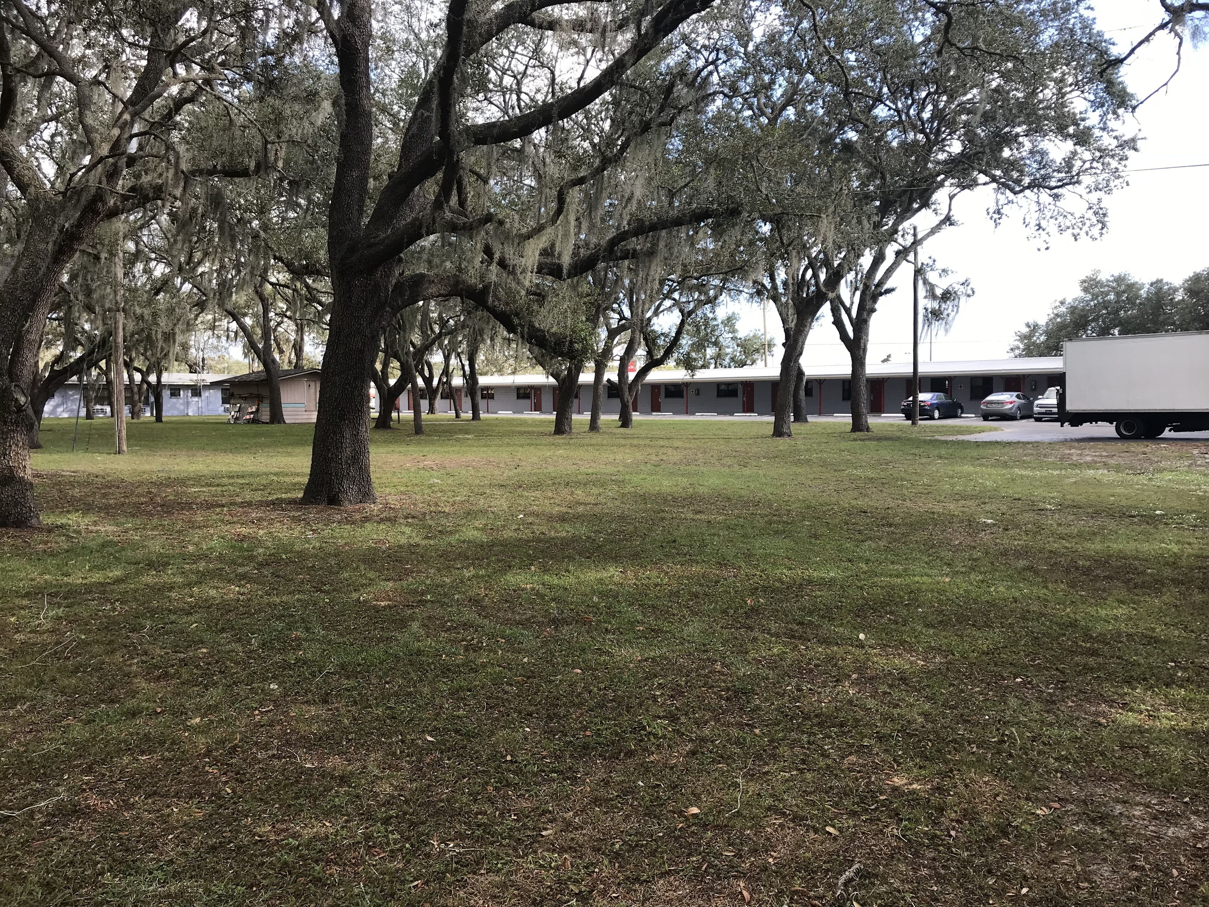A grassy area with large trees and a building in the background.