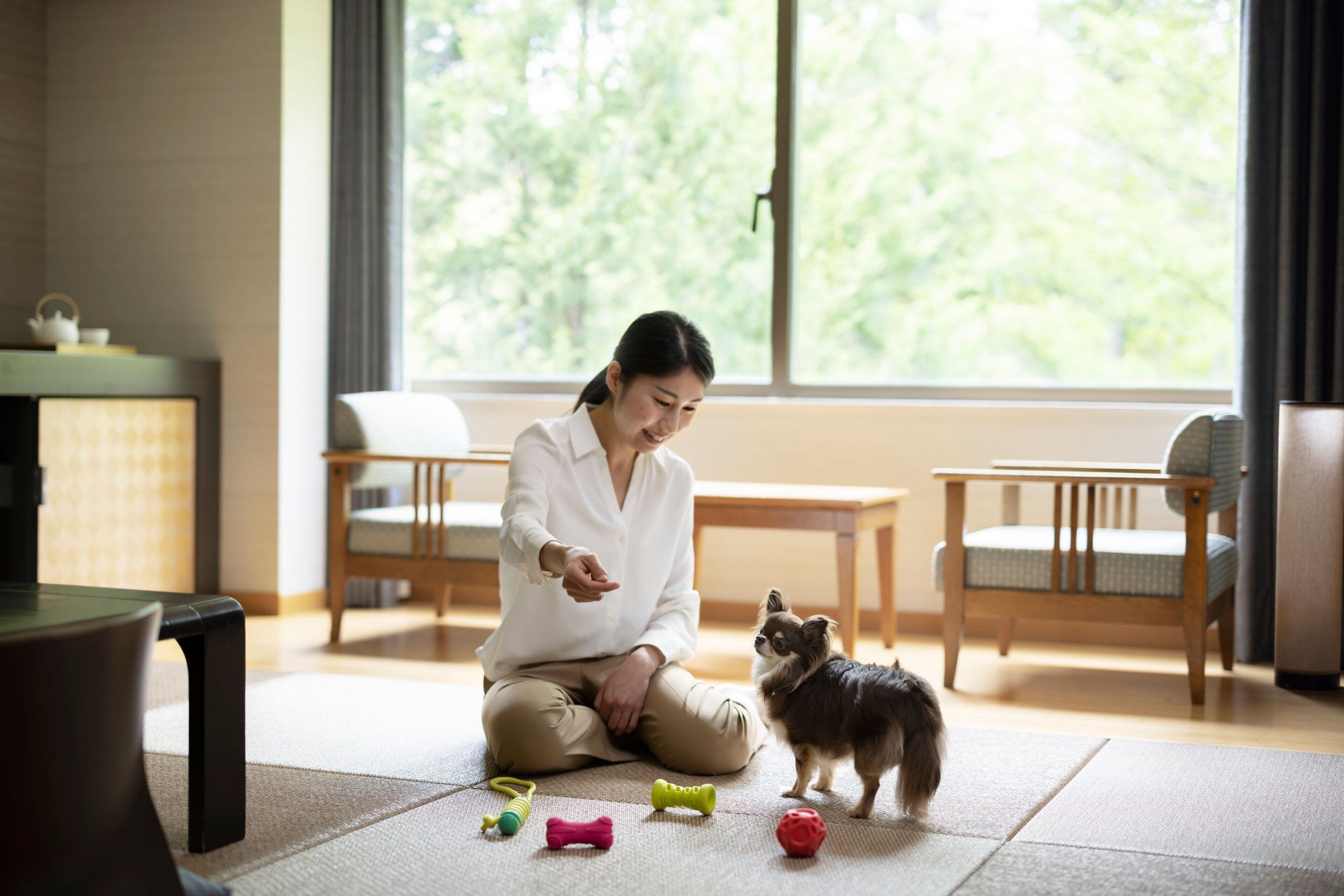 in-room safe, desk, laptop workspace, free wifi