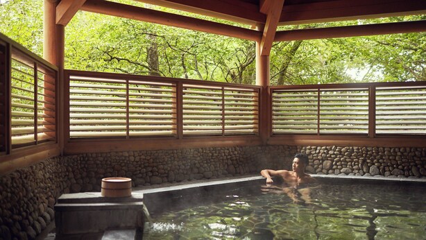 A traditional Japanese onsen with stone walls, wooden beams, and a view of lush greenery.