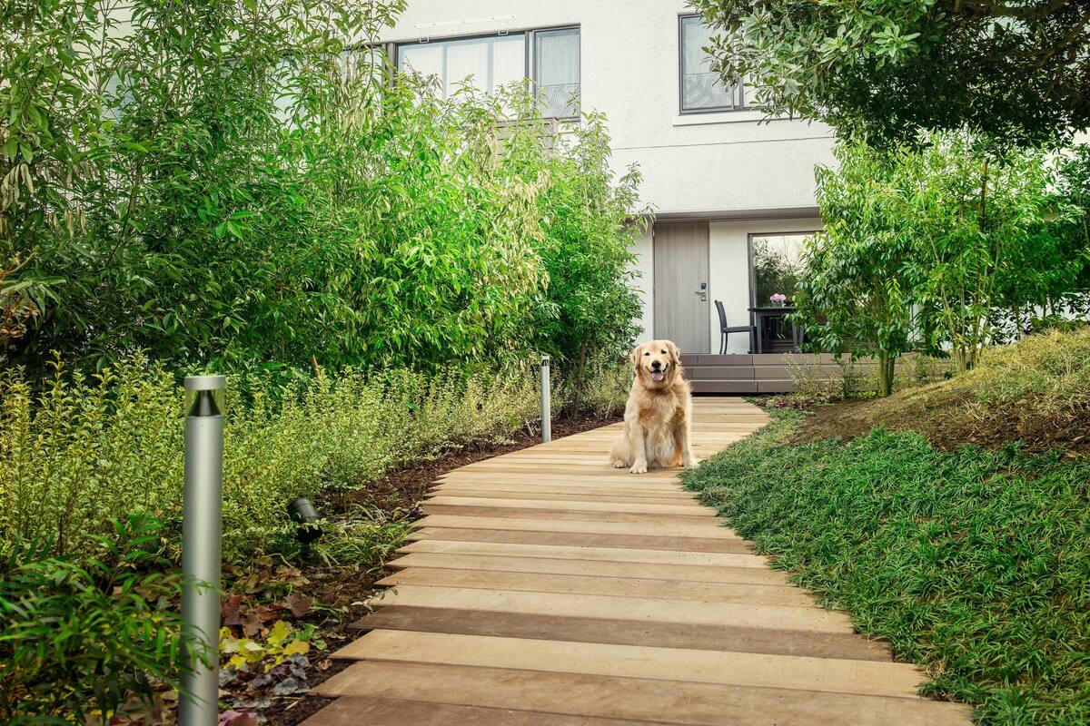 down duvets, in-room safe, blackout curtains, iron/ironing board