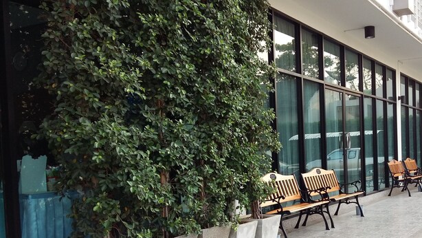 A building with large windows, a green hedge, and two wooden benches.
