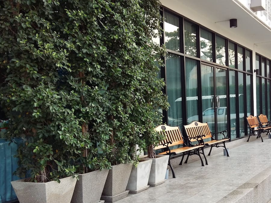 Estacionamiento gratis