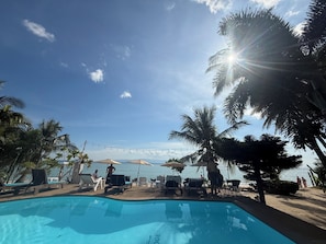 Outdoor pool, pool umbrellas, sun loungers
