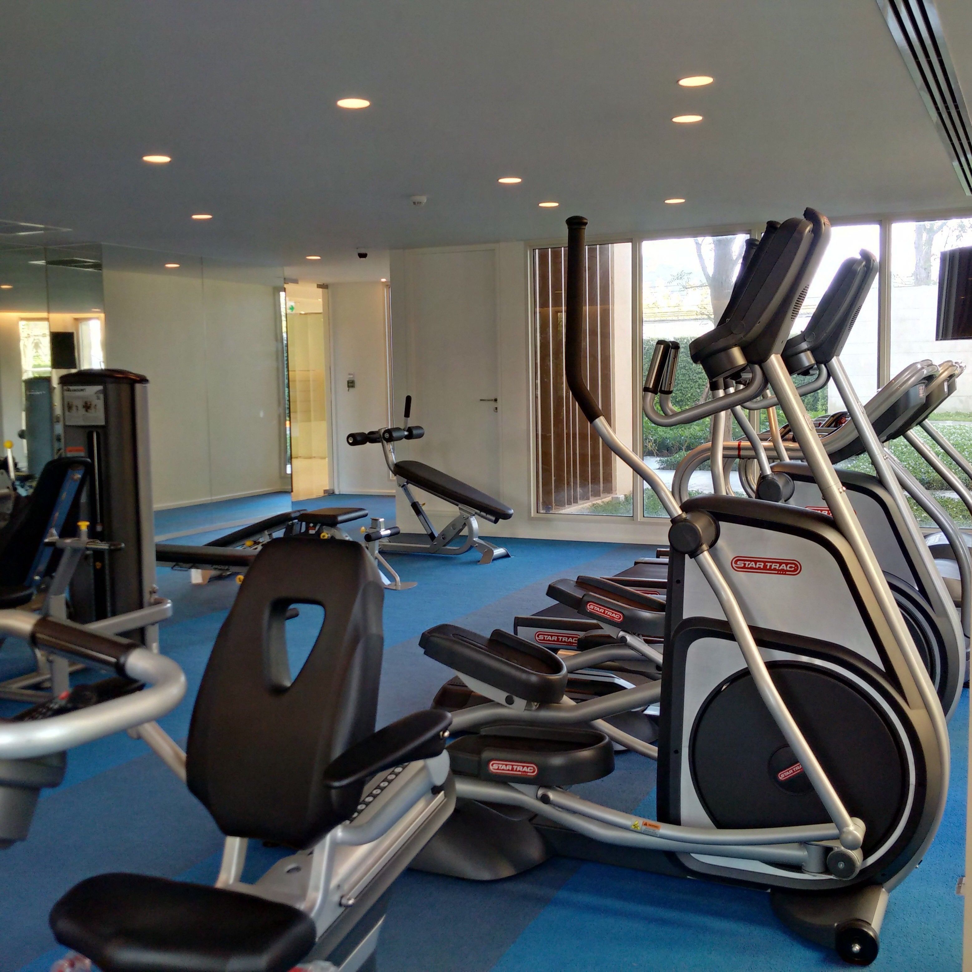A gym with multiple treadmills, weight machines, and a blue carpeted floor.