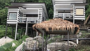 Un edificio moderno con techo de paja, rodeado de vegetación exuberante y terreno rocoso.