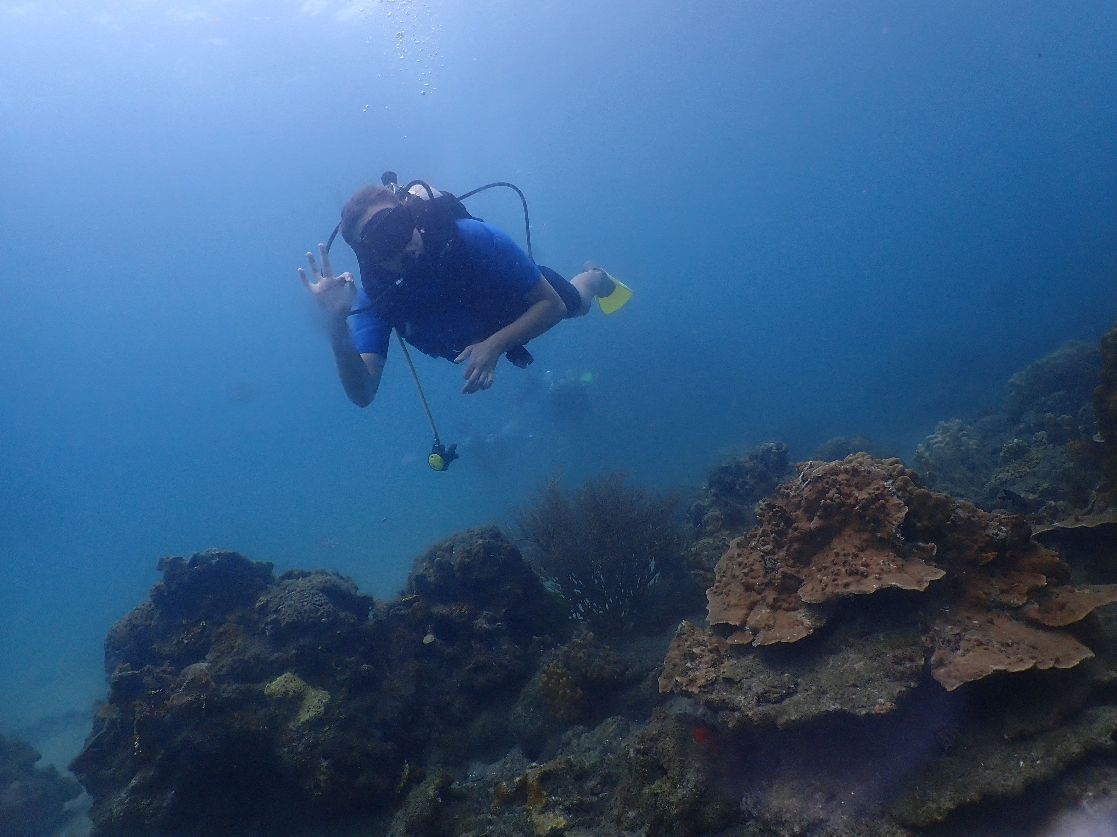 Un subacqueo sott'acqua con una fotocamera, circondato da coralli e vita marina.