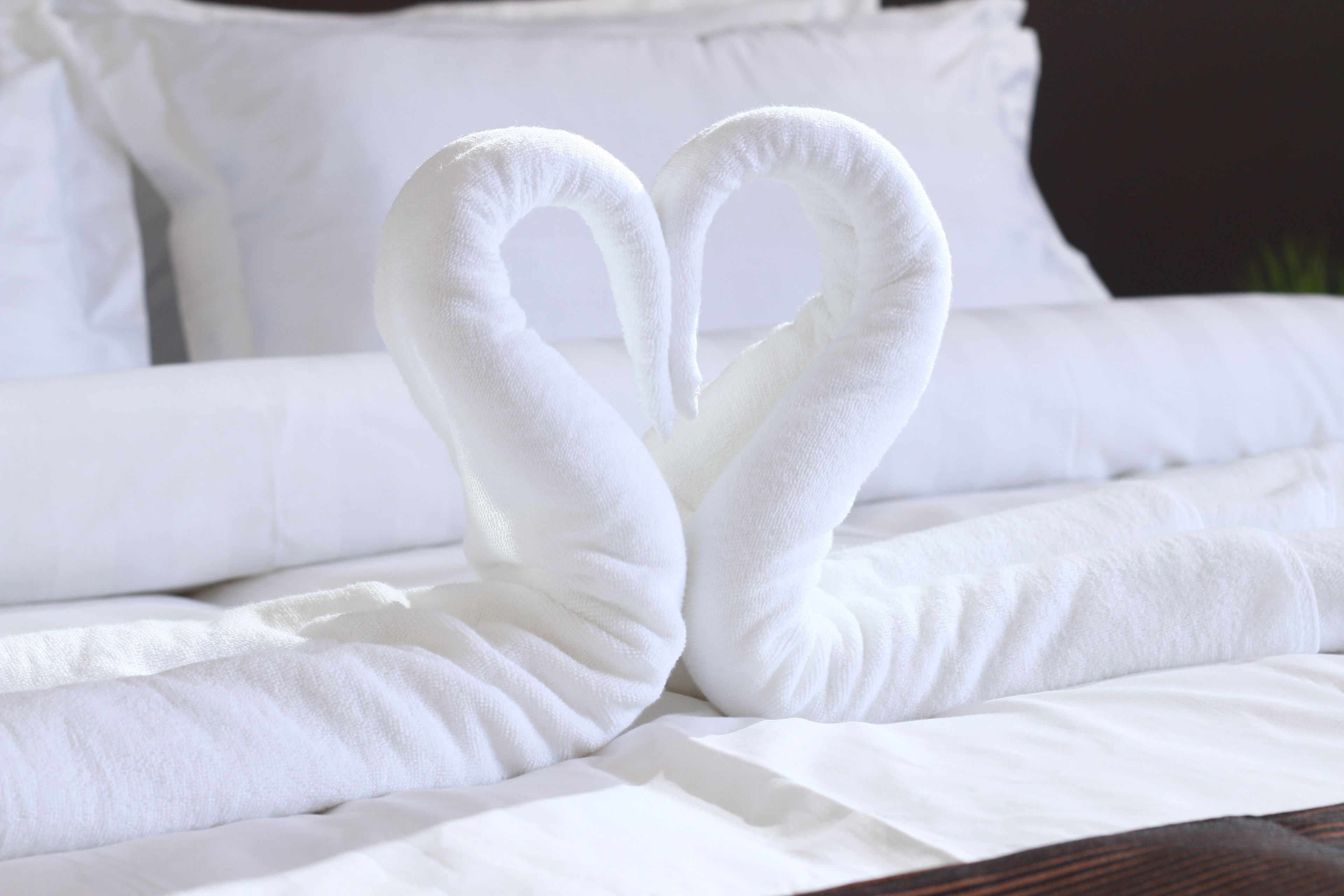 seafront chalet | room amenity