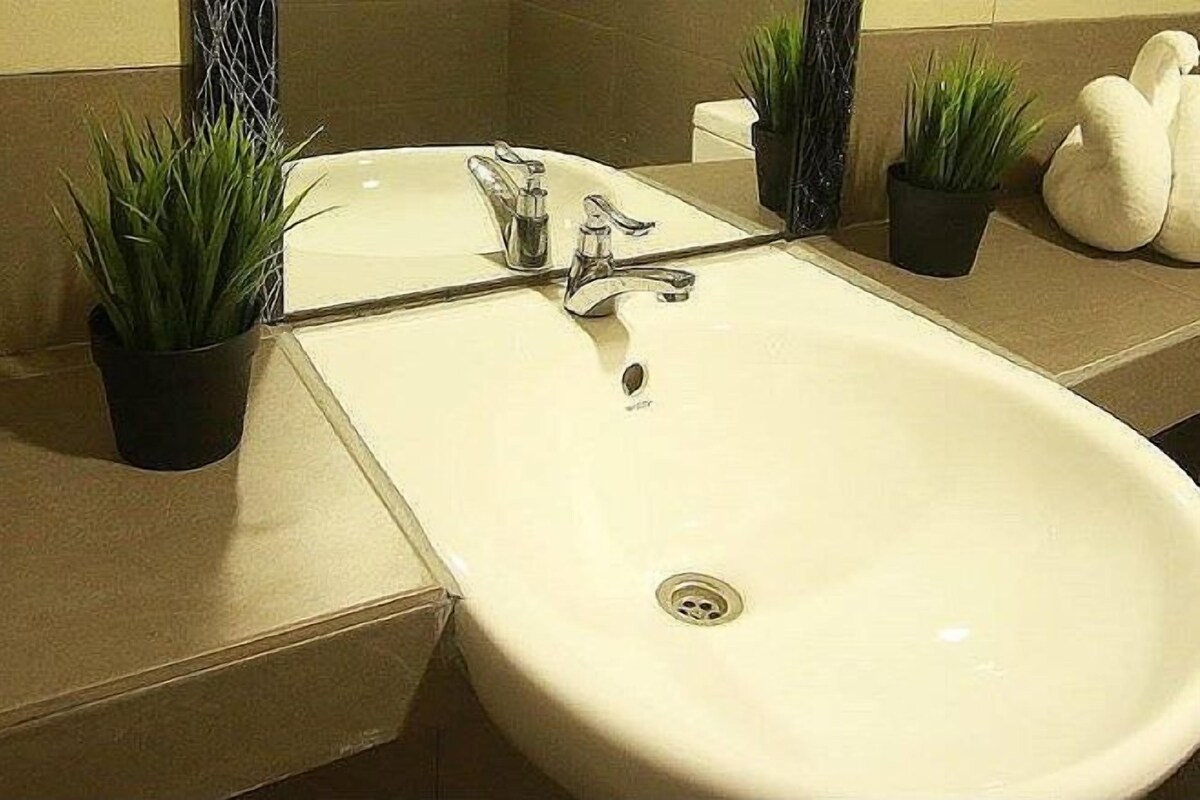 Een badkamer met een witte wastafel, twee kraanwerk en twee potplanten.