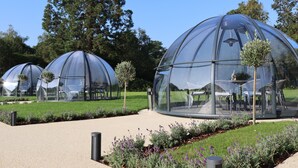 Estruturas em forma de cúpula transparente com assentos no interior, rodeadas por um jardim ajardinado com árvores pequenas e flores roxas.